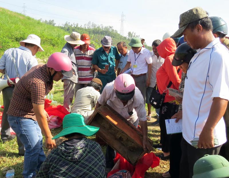 bốc mộ vào thời gian nào là hợp lý