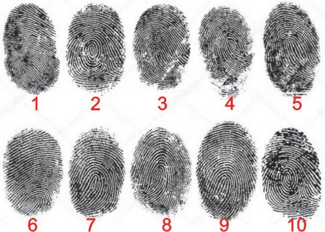 Hoa tay là gì? Giải thích đầy đủ và chính xác nhất về ý nghĩa hoa tay