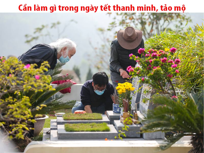 Tết thanh minh, tảo mộ, bạn cần phải làm những việc gì trong ngày này Tết thanh minh, tảo mộ, bạn cần phải làm những việc gì trong ngày này