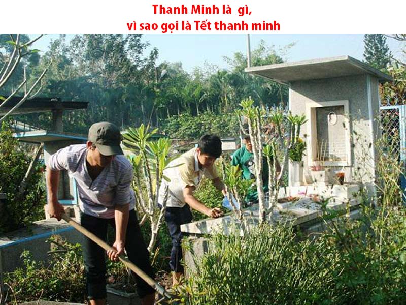 thanh minh là gì, vì sao gọi là tết thanh minh thanh minh là gì, vì sao gọi là tết thanh minh