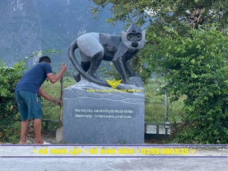 tượng vooc bằng đá tự nhiên, tại Ninh Bình