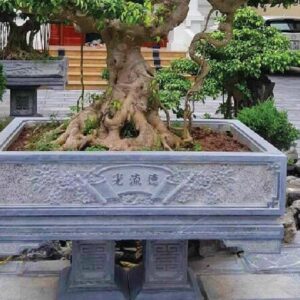 Chậu Cảnh Đá CCĐ15