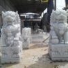 nghe da 11