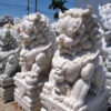 nghe da 14