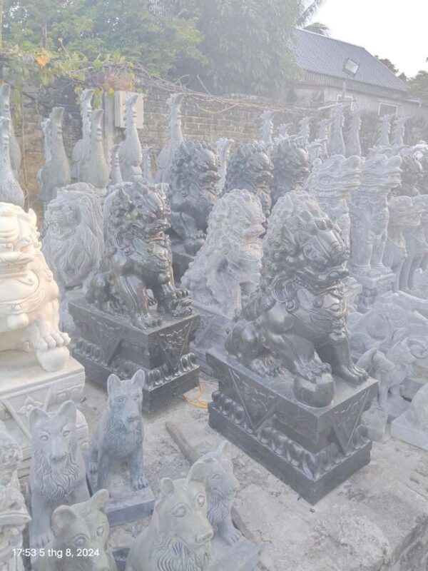 nghe da 6